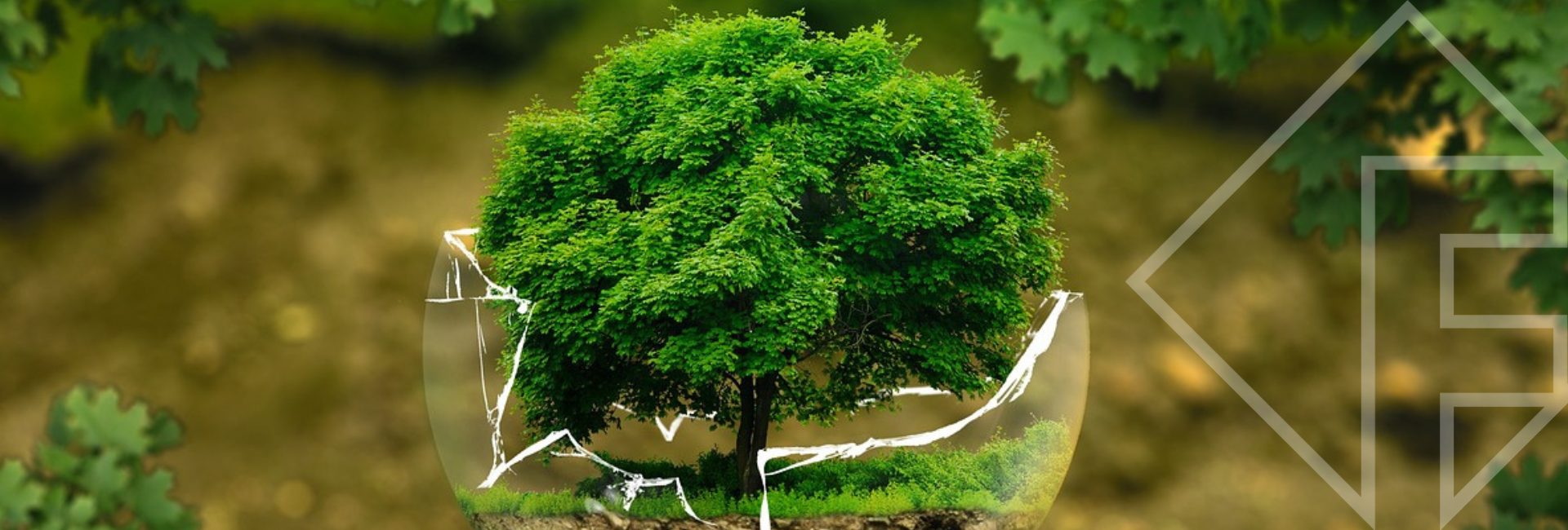 Our Sustainable choice